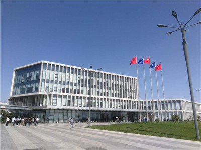 山东新华制药股份公司